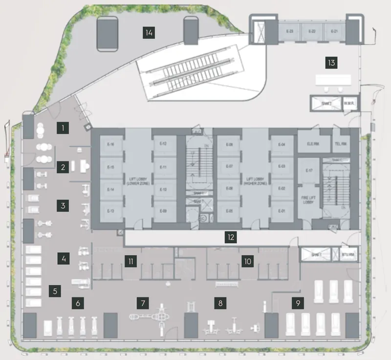 Level 14 plan: gym zones, a multipurpose studio and a terrace around the core